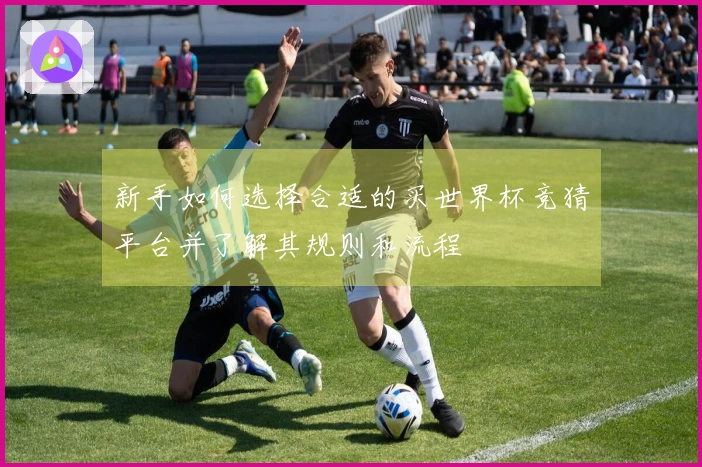 新手如何选择合适的买世界杯竞猜平台并了解其规则和流程