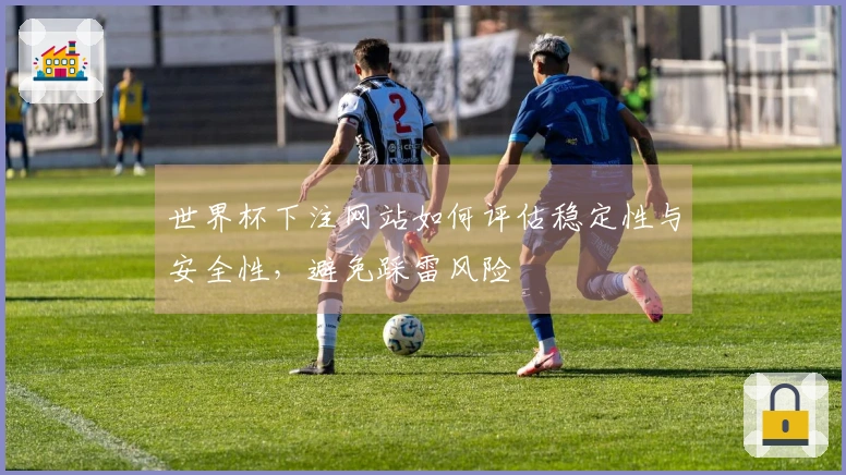 世界杯下注网站如何评估稳定性与安全性，避免踩雷风险