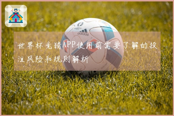 世界杯竞猜APP使用前需要了解的投注风险和规则解析