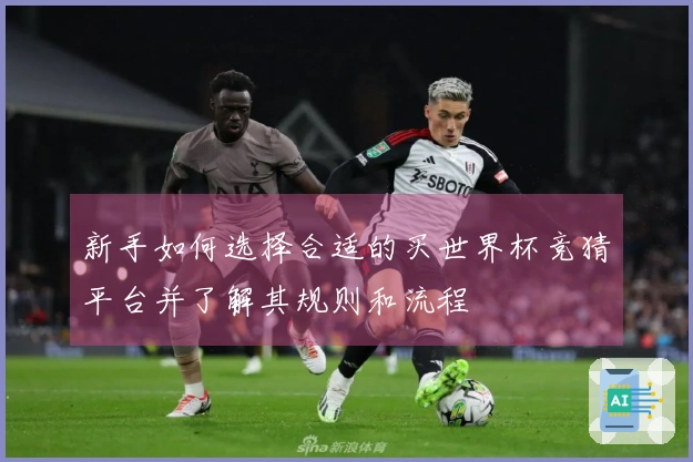 新手如何选择合适的买世界杯竞猜平台并了解其规则和流程