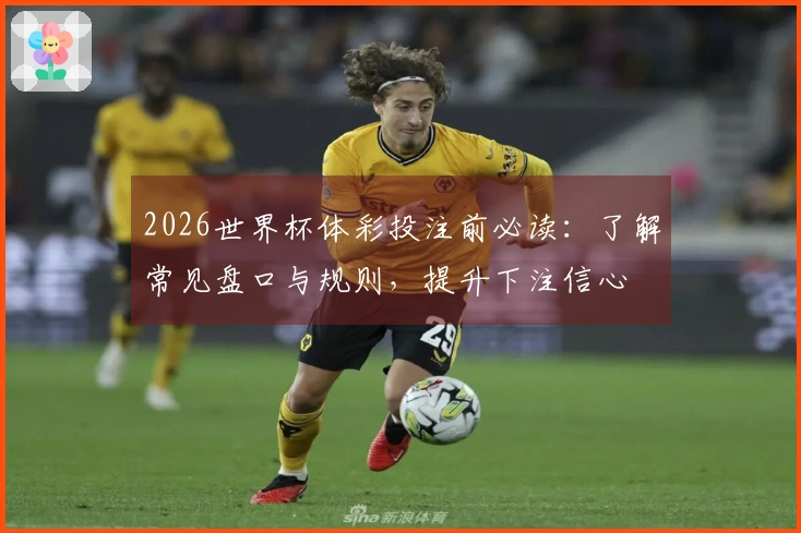 2026世界杯体彩投注前必读：了解常见盘口与规则，提升下注信心