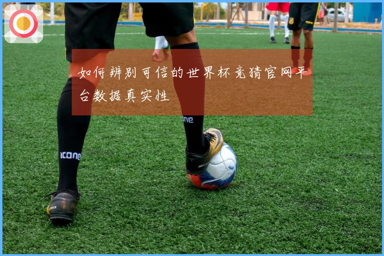 如何辨别可信的世界杯竞猜官网平台数据真实性