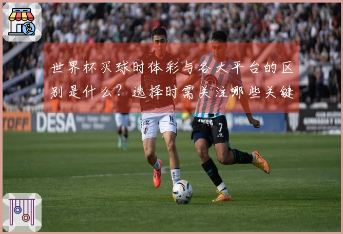 世界杯买球时体彩与各大平台的区别是什么？选择时需关注哪些关键因素？