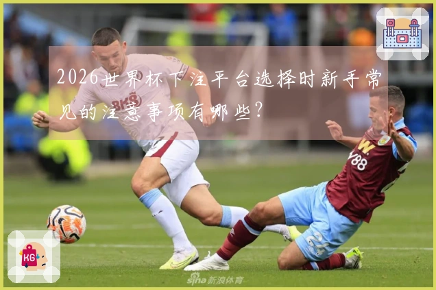 2026世界杯下注平台选择时新手常见的注意事项有哪些？
