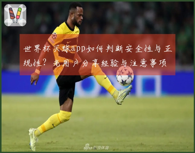 世界杯买球app如何判断安全性与正规性？老用户分享经验与注意事项